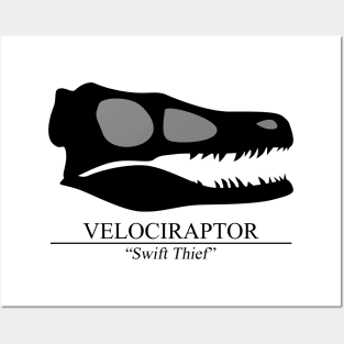 Velociraptor Skull Posters and Art